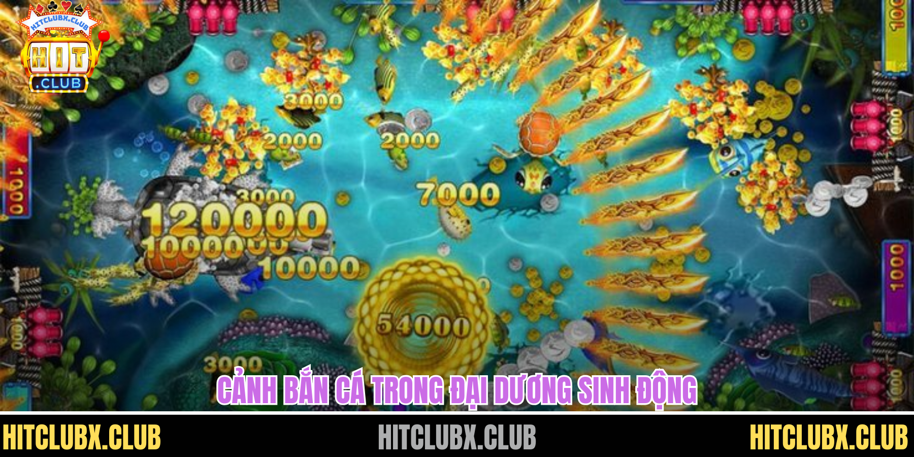 Khám Phá Bắn Cá Zui Trải Nghiệm Đại Dương Giải Trí Đỉnh Cao Cảnh bắn cá trong đại dương sinh động